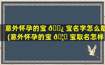 意外怀孕的宝 🌿 宝名字怎么取(意外怀孕的宝 🦆 宝取名怎样比较有意义)